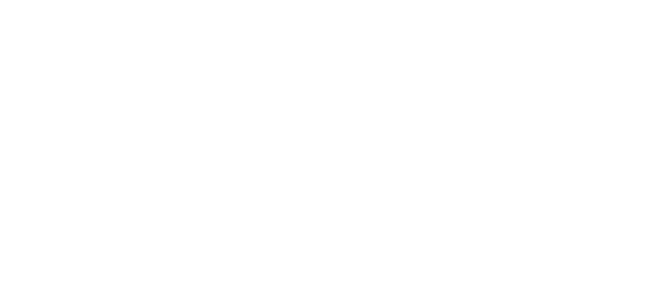 9bet Logo